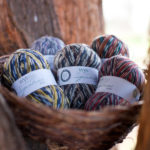 Signature 4 Ply Country-Birds
