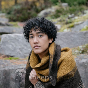 LAINE #13 – Obrázok 3