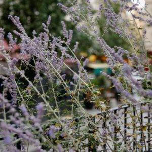 WORSTED - AIMÉE GILLE – Obrázok 6