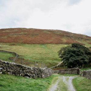 Echoes: Susan Crawford – Obrázok 7