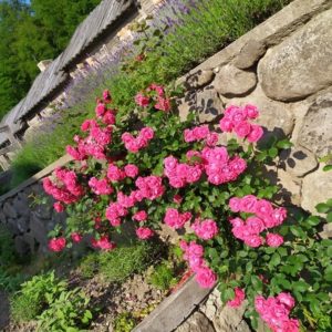 November - OČKÁ v ÁSÁNE - víkend, ktorý Ťa upletie do pohody – Obrázok 10