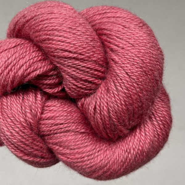 myak_Baby_yak_medium_Flamingo