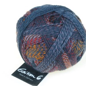 2299 Thermography Edition 6.0 Schoppel