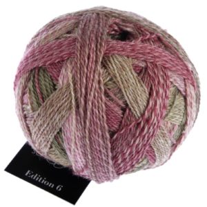 2442 Third Class Edition 6.0 Schoppel