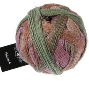 2629 Aurora Edition 6.0 Schoppel